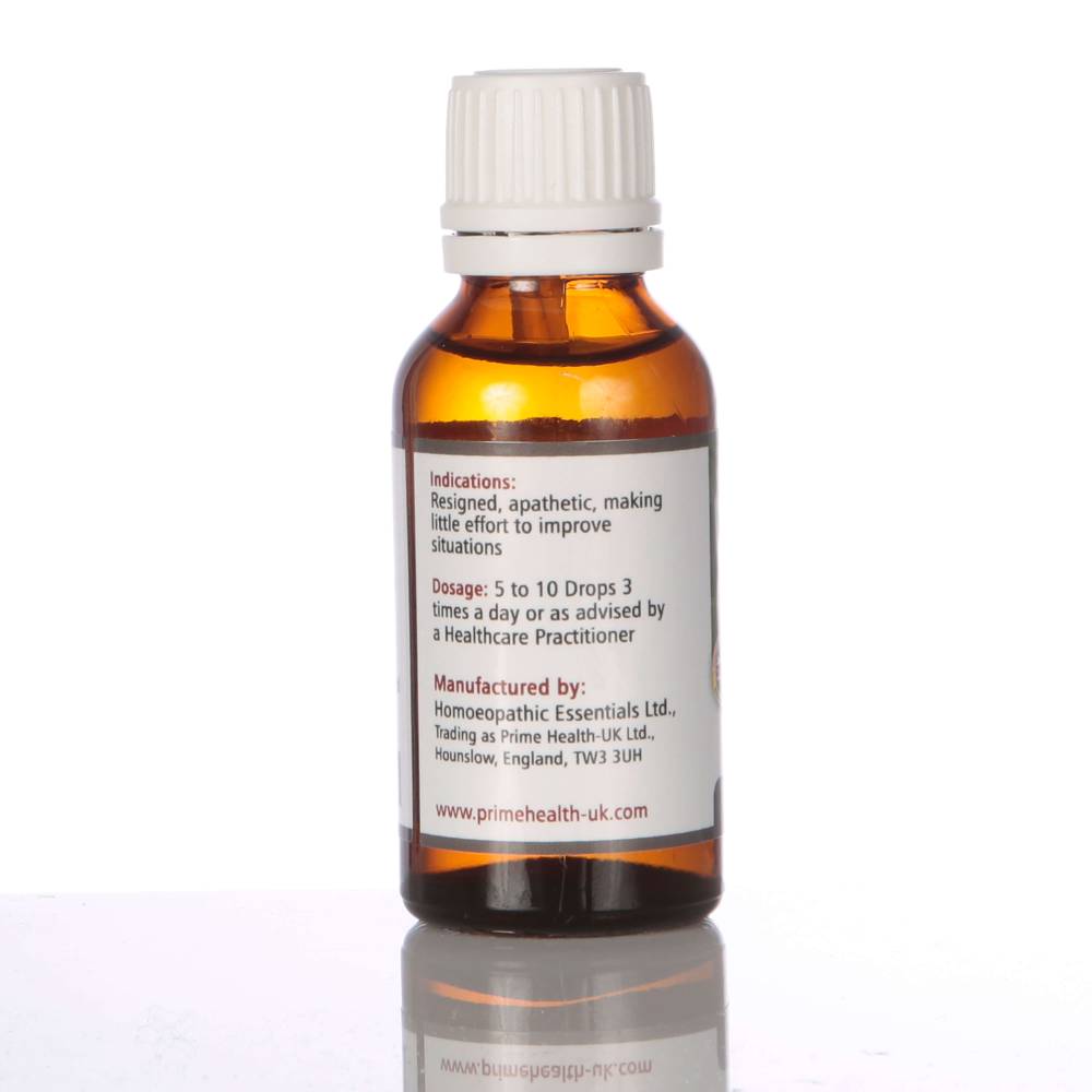 Dr Bach’s Wild Rose Prime Health UK